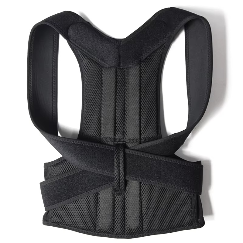 Back support Posture Belt