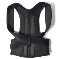 Back support Posture Belt