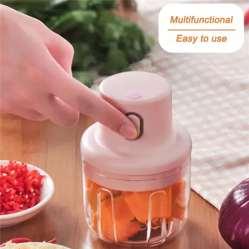 Mini Kitchen Food Chopper